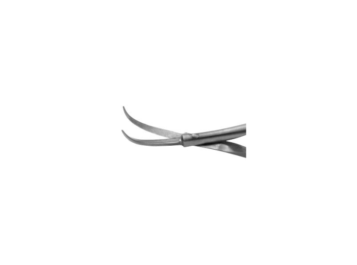 Cindy Scissor