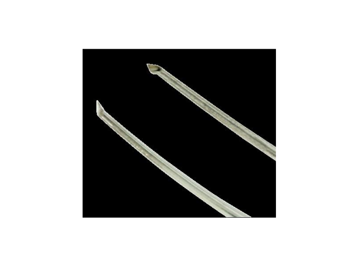 Capsulorhexis Forceps MICS Curved