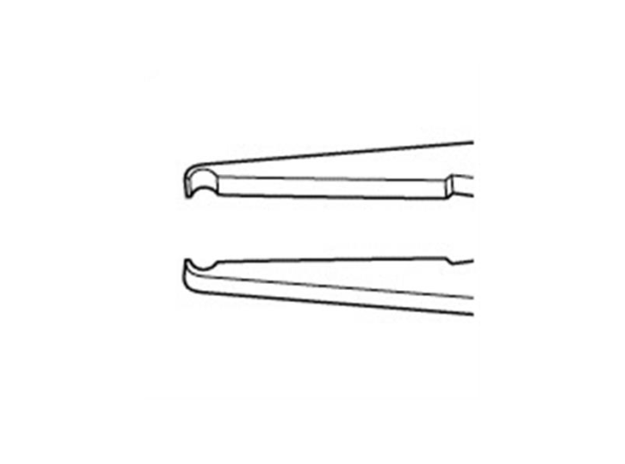 Pierse Forceps Straight